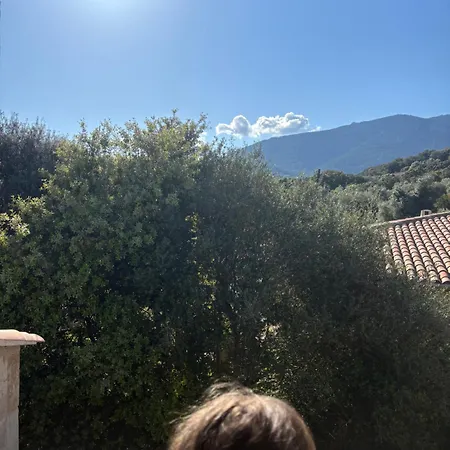 בית נופש Maison A 10m De Porto Vecchio Centre סוטה