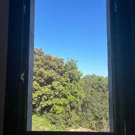 Maison A 10m De Porto Vecchio Centre * סוטה
