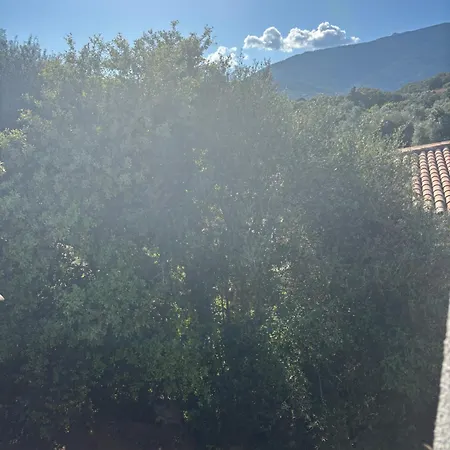 Maison A 10m De Porto Vecchio Centre Tatil Evi